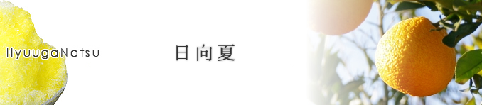 日向夏 日向夏