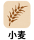 小麦
